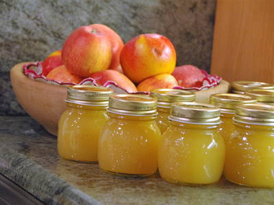 Bild 20 aus  Callhof Biohof