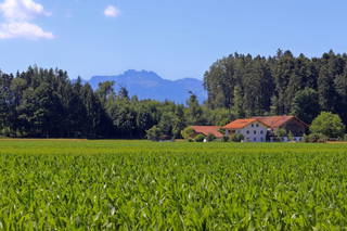 Beim Lenglacher aus Chieming