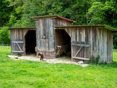 Bild 30 aus  Hanselishof