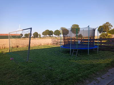 Bild 12 aus  Erholung auf dem Bauernhof