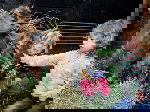 Bild 11 aus  "Höhenhof - Erlebnisbauernhof"