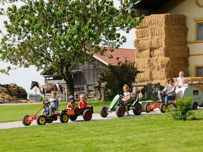 Bild 25 aus  LandSelection Moierhof am Chiemsee - Ferienhof des Jahres