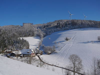 Bild 19 aus  Vogtbenedikthof im Schwarzwald