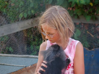 Bild 8 aus  Piratenhof Störtenbecker