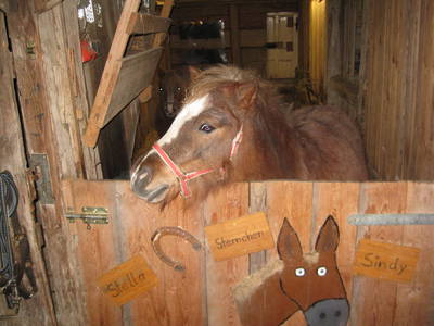 Bild 8 aus  Winklerhof-Kinderlandbauernhof, Familie Esterer