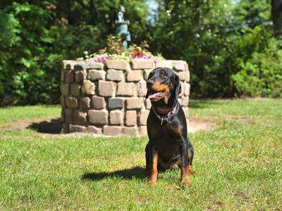 Bild 33 aus  LandSelection Drewes-Hof