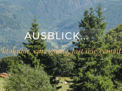 Bild 7 aus  Hanisenhof