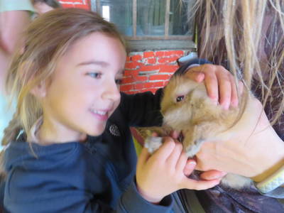 Toffie lässt ich gerne streicheln