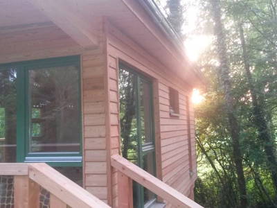 Bild 6 aus  Mainbaumhaus