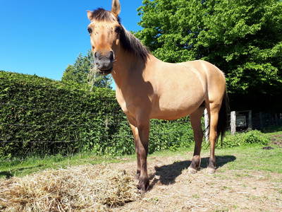 Bild 28 aus  Ferienhof Wichmann