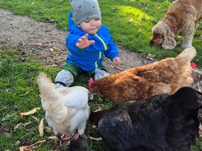 Bild 21 aus  Ferienhaus Schilz