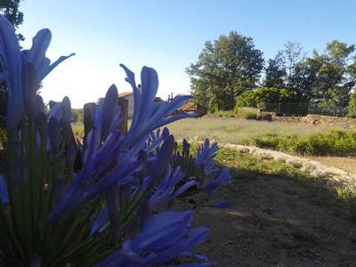 Bild 19 aus  Agriturismo Il Roccolo