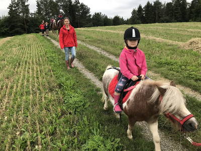 Bild 15 aus  Ferienhof Kober