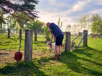 Bild 16 aus  Ferienhof Heidemann