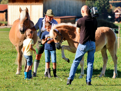 Bild 17 aus  Augustinerhof