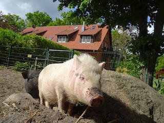 Bild 2 aus  Ramakers Hof