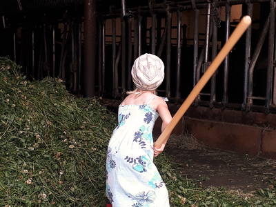 Bild 25 aus  Hof Wahls