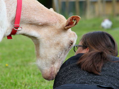 Bild 29 aus  Sonnenlandhof