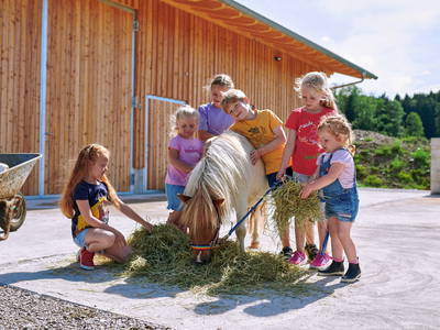 Bild 30 aus  LandSelection Hanznhof