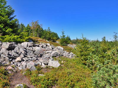 Bild 8 aus  Mühlenhof Seyde