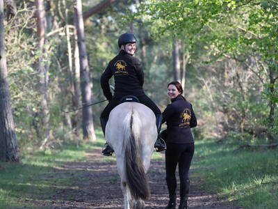 Bild 36 aus  Bernsteinreiter Hirschburg