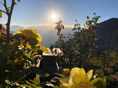 Bild 3 aus  Fichtenhof