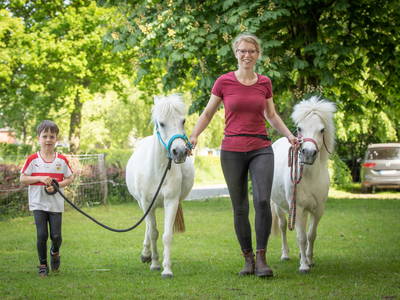 Bild 42 aus  LINDENHOF- BAUERNHOFURLAUB / OSTSEENÄHE