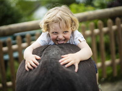 Bild 8 aus  Ferienhof Belke-Spork