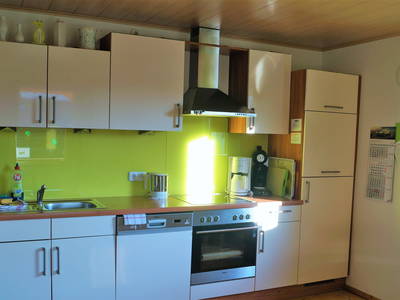 Küche Fewo Laubfrosch