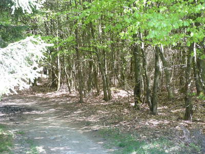 Bild 28 aus  Victorhof Ferienwohnungen