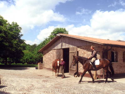 Bild 8 aus  Mühlberghof