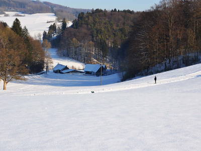 Bild 23 aus  Landurlaub im Sauerland auf dem Ferienhof Verse