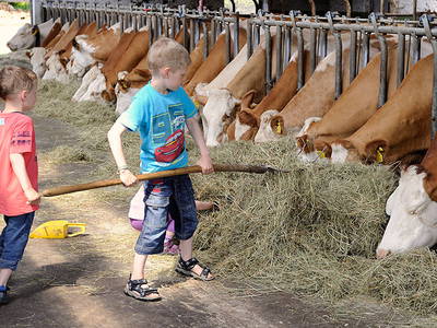 Kinder helfen Füttern