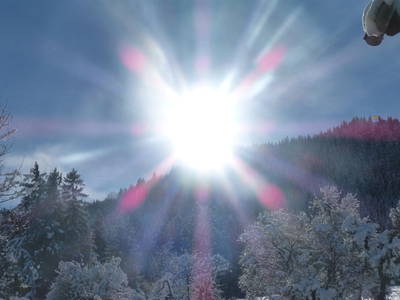 Bild 19 aus  Am Holderbusch