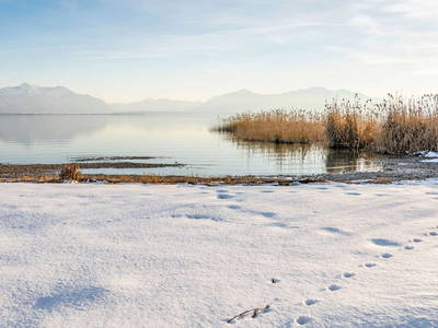 Bild 31 aus  Springerhof