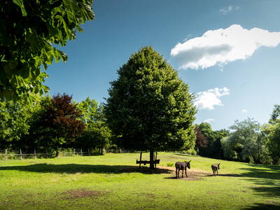 Bild 23 aus  Gut Neuwerk