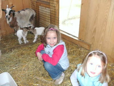 Bild 20 aus  Schillingerhof