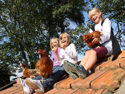 Bild 26 aus  Esterer Hof  ***** - Deutschlands Beliebtester Ferienhof 2022