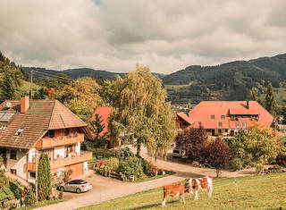 Ferienhof Oberer Strickerhof - Oberer Strickerhof