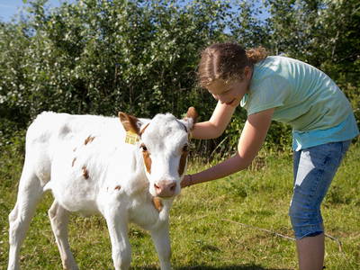 Bild 8 aus  Ostseebauernhof