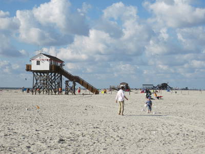 Bild 65 aus  Ferienhof Peter -  Ponys - streicheln, striegeln, füttern  -  Wattwanderungen + ganz viel Nordsee