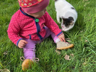 Bild 11 aus  Ferienhof Westermann