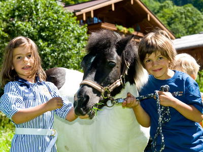 Bild 54 aus  Martenhof