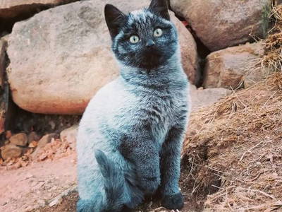 Bild 6 aus  Spörlhof