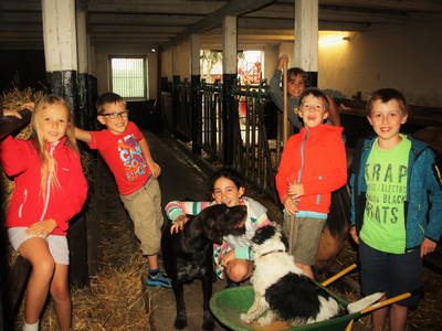 Bild 6 aus  Ferien- und Bauernhof Weiland