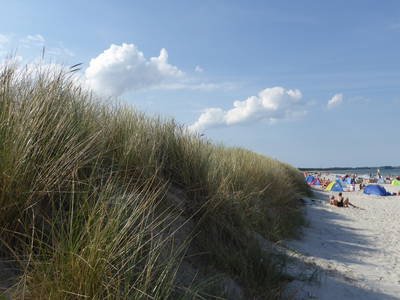 Bild 40 aus  Ferienhaus Gut Rattelvitz-INSEL RÜGEN