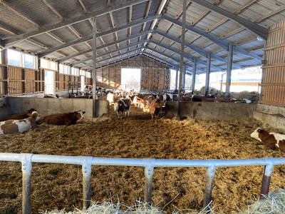 Bild 17 aus  Der Schafstall