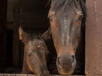 Bild 11 aus  Hof Flottwedel
