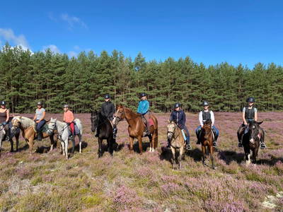 Bild 12 aus  Ferienhof Klaucke