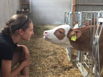 Bild 11 aus  Ederhof